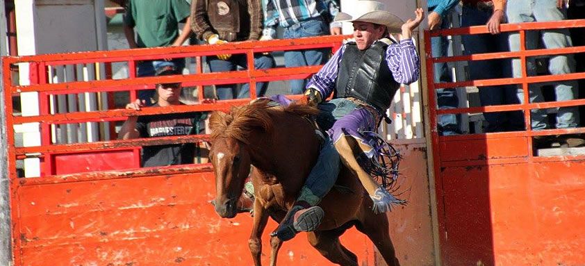 Crook County Fair